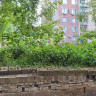 Продается 1 комнатная квартира, ул. Чапаева, арт. 5031