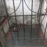Продается 2-х этажный дом, ул. Горького, ориентир гостиница "Великобритания" , арт. 5175