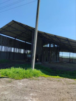 Продается агрокомплекс, ул. Воробьева арт 4128