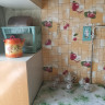 Продается 2 - х комнатная квартира, ул. Полиграфическая  арт 3978