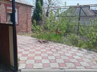Продается 3 - х комнатный дом, ул. Шестакова, арт. 5456