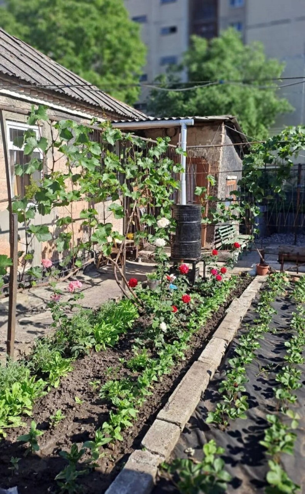 Продается 4-х комнатный дом, ул. Черниговская, арт. 6140