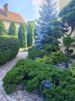 Продается дом, Бакинские комиссары арт 2524