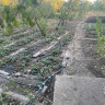 Продается 4 - х комнатный дом, Ореховский арт 972