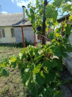 Продается 2 - х комнатный дом в Калининском р.-не,арт. 4800